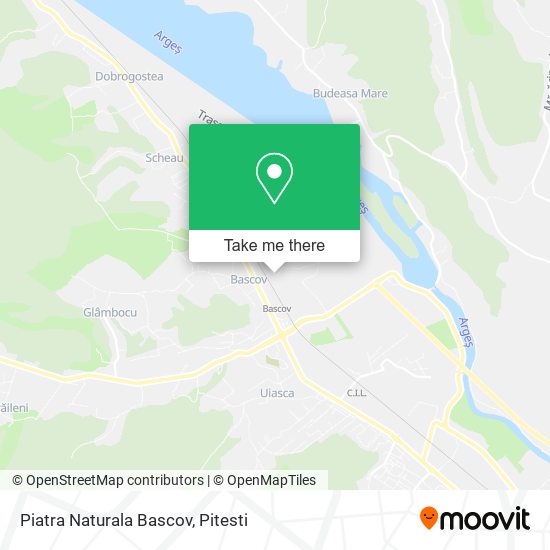 Piatra Naturala Bascov map