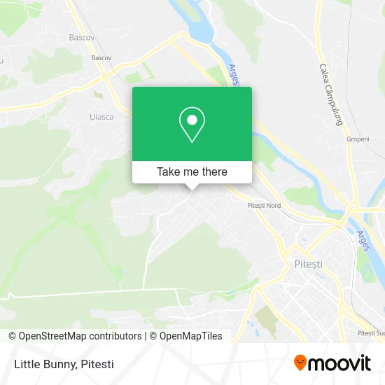 Little Bunny map