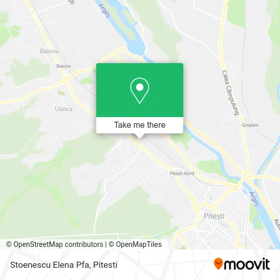 Stoenescu Elena Pfa map