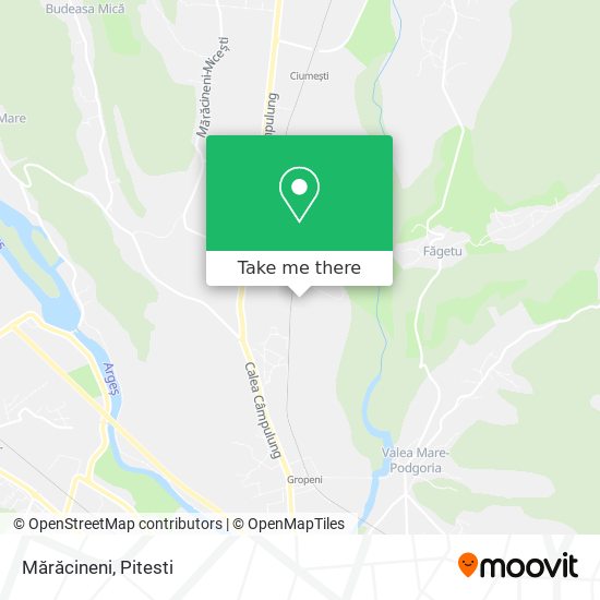 Mărăcineni map