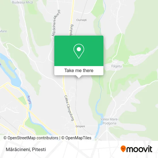 Mărăcineni map