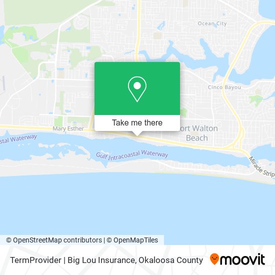 TermProvider | Big Lou Insurance map