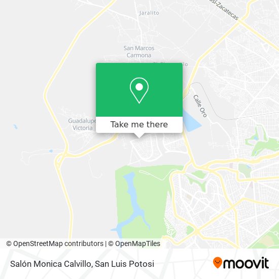 Salón Monica Calvillo map