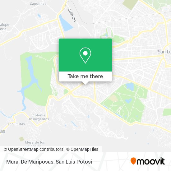 Mapa de Mural De Mariposas
