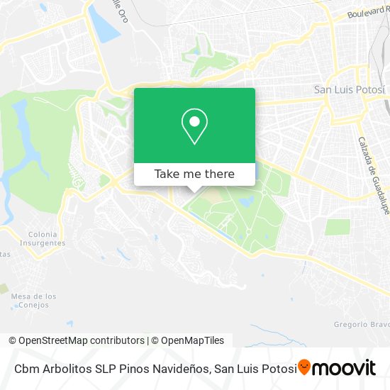 Cbm Arbolitos SLP Pinos Navideños map