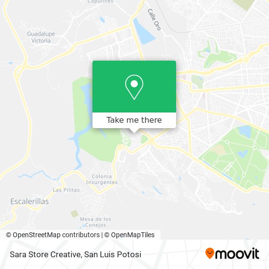 Sara Store Creative map