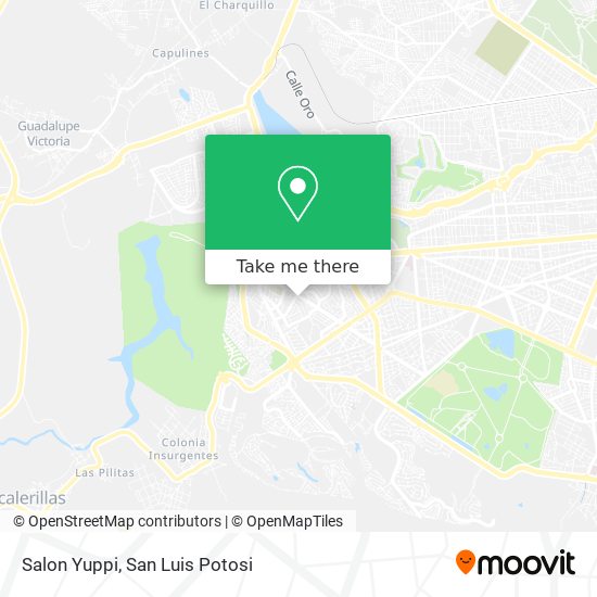 Salon Yuppi map
