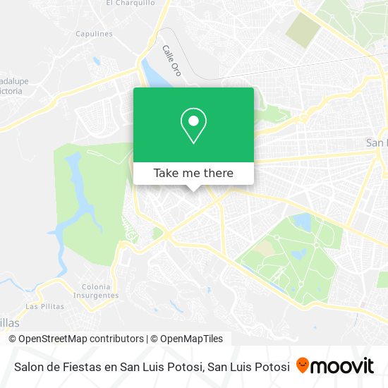 Salon de Fiestas en San Luis Potosi map