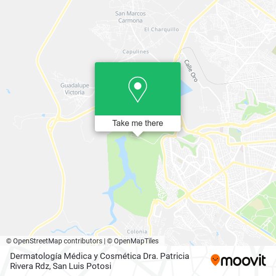 Dermatología Médica y Cosmética Dra. Patricia Rivera Rdz map
