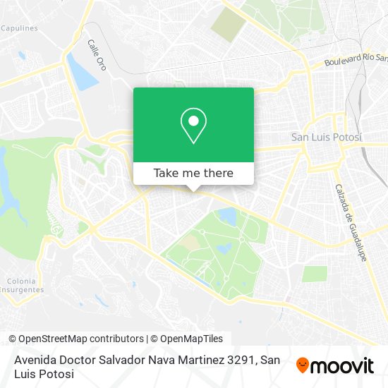 Avenida Doctor Salvador Nava Martinez 3291 map