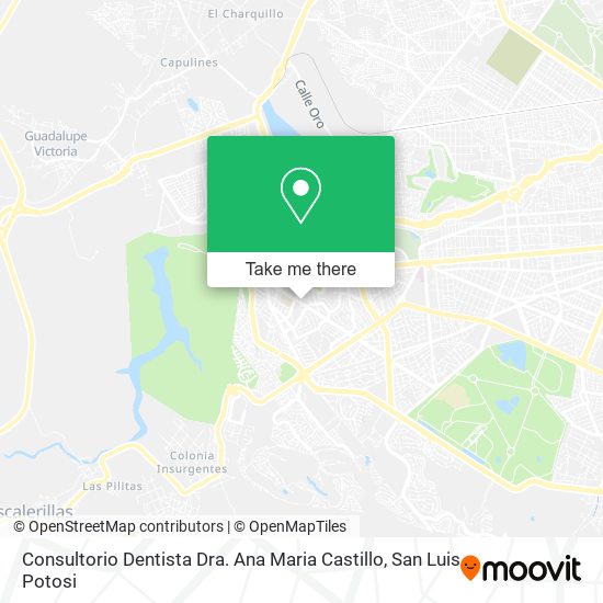 Consultorio Dentista Dra. Ana Maria Castillo map