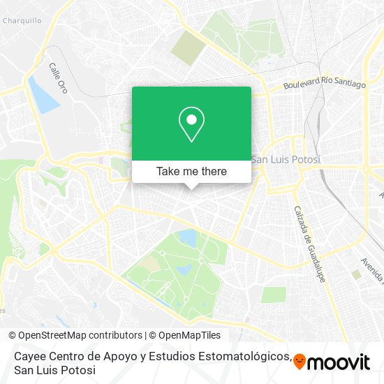 Mapa de Cayee Centro de Apoyo y Estudios Estomatológicos