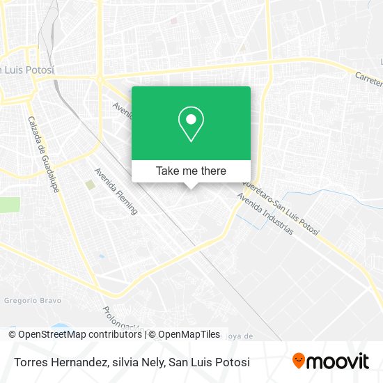 Mapa de Torres Hernandez, silvia Nely