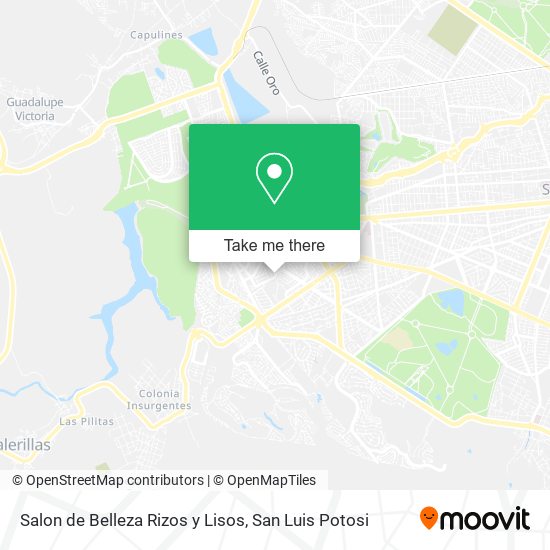 Salon de Belleza Rizos y Lisos map