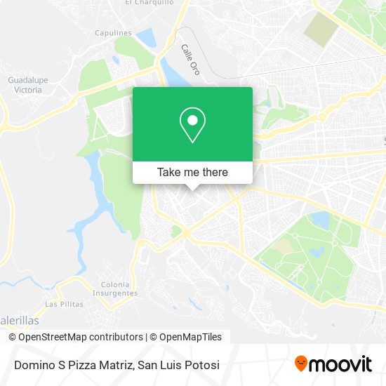 Domino S Pizza Matriz map