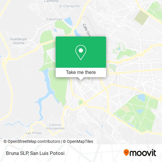 Bruna SLP map