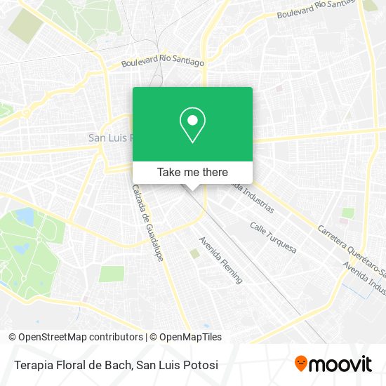 Mapa de Terapia Floral de Bach