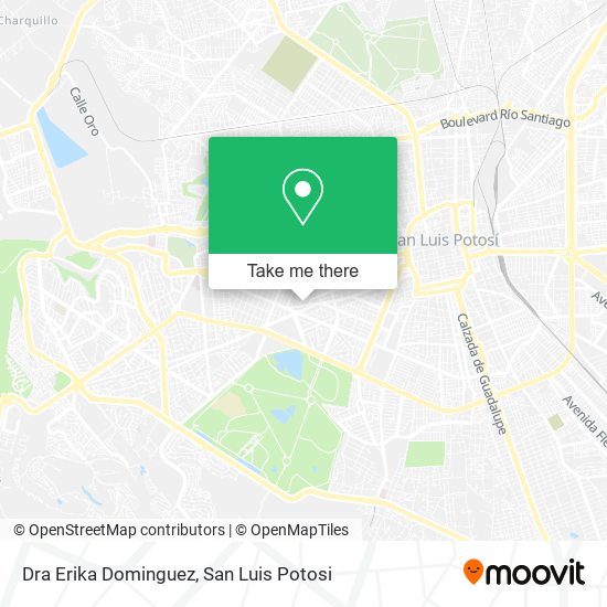 Mapa de Dra Erika Dominguez