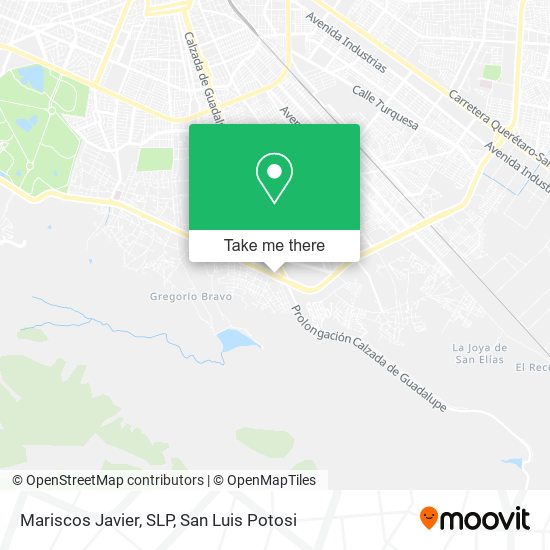 Mariscos Javier, SLP map