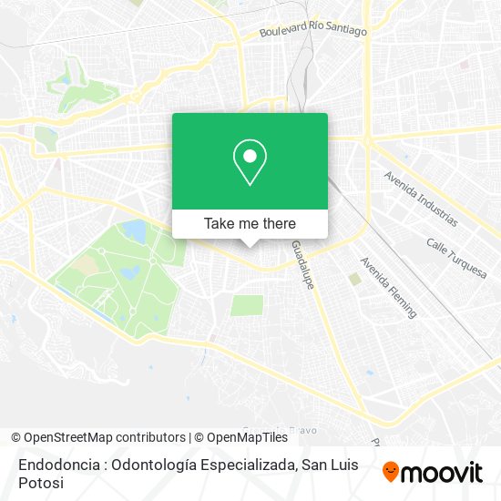 Mapa de Endodoncia : Odontología Especializada