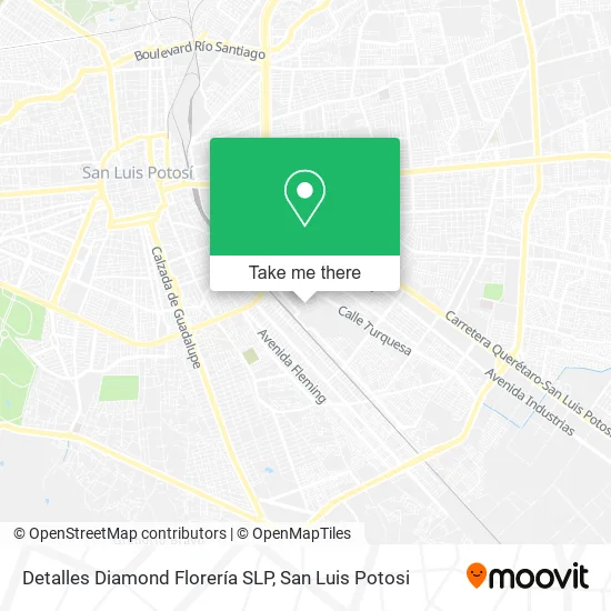 Mapa de Detalles Diamond Florería SLP