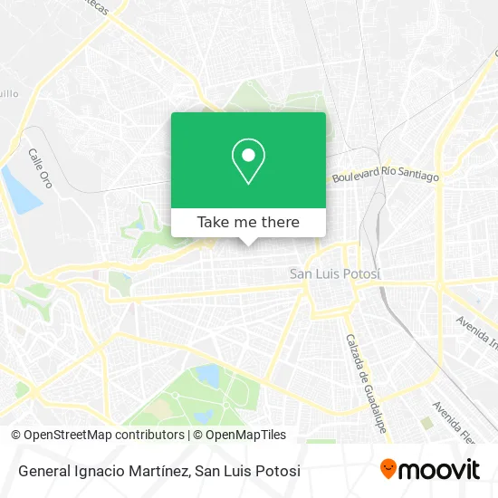 Mapa de General Ignacio Martínez
