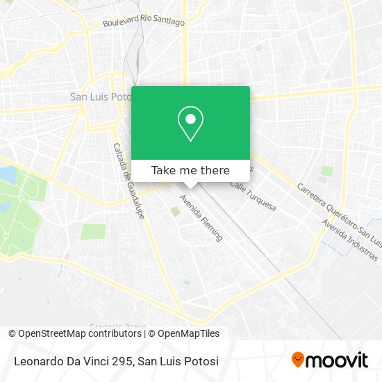 Leonardo Da Vinci 295 map
