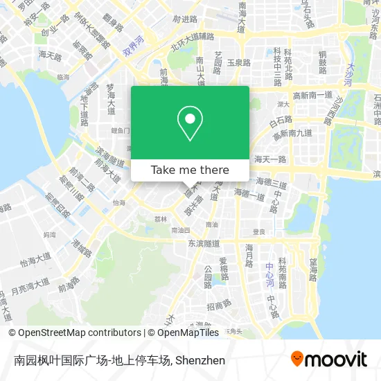 南园枫叶国际广场-地上停车场 map