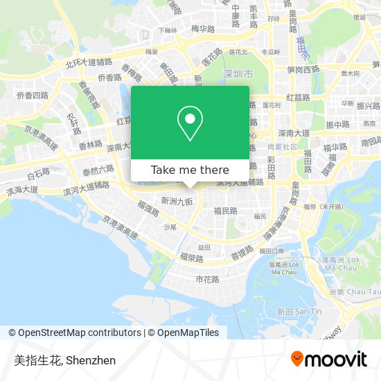 美指生花 map