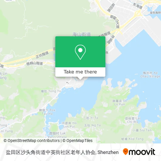 盐田区沙头角街道中英街社区老年人协会 map