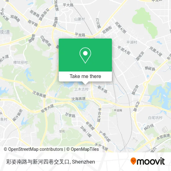 彩姿南路与新河四巷交叉口 map