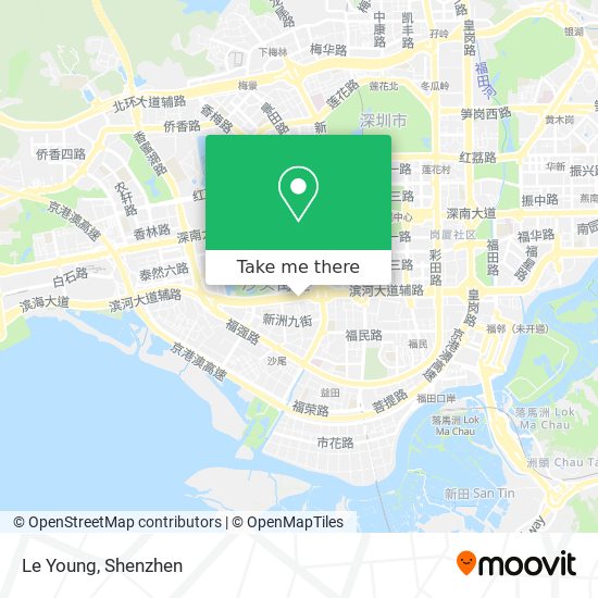 Le Young map