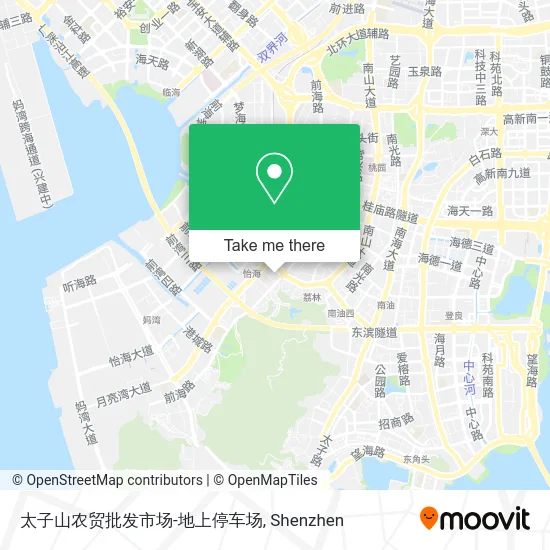 太子山农贸批发市场-地上停车场 map