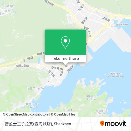 普盈士王子拉茶(壹海城店) map