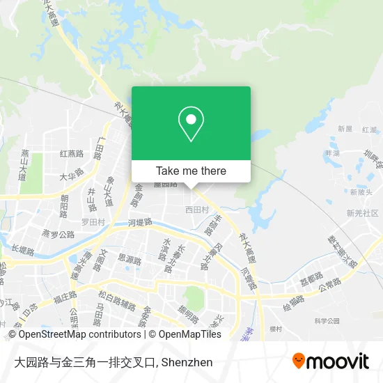 大园路与金三角一排交叉口 map