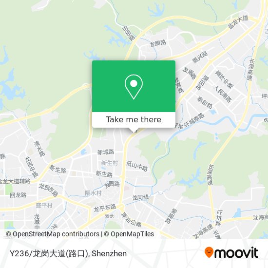 Y236/龙岗大道(路口) map