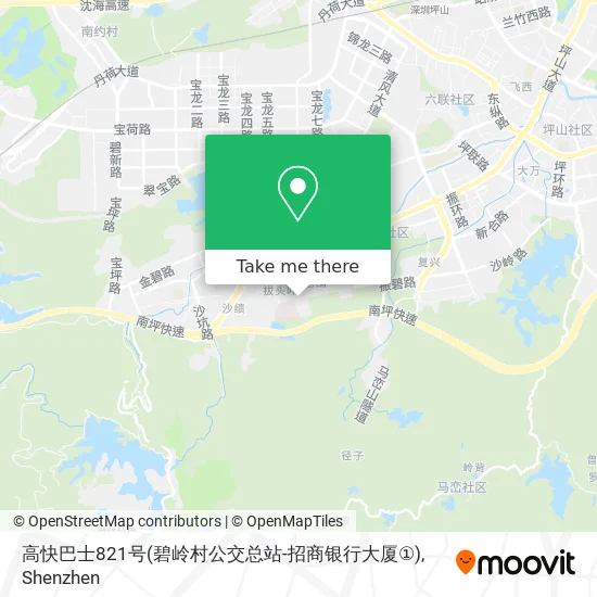 高快巴士821号(碧岭村公交总站-招商银行大厦①) map