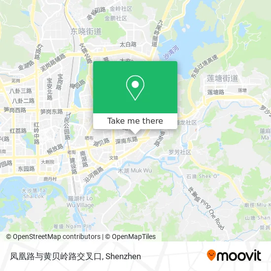 凤凰路与黄贝岭路交叉口 map