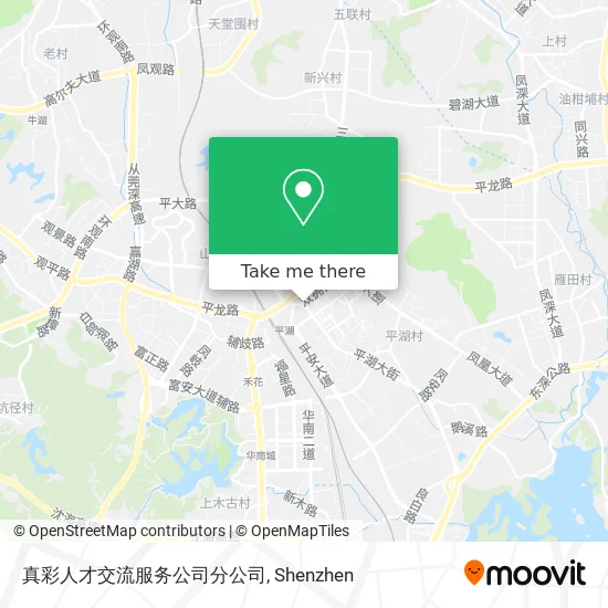 真彩人才交流服务公司分公司 map