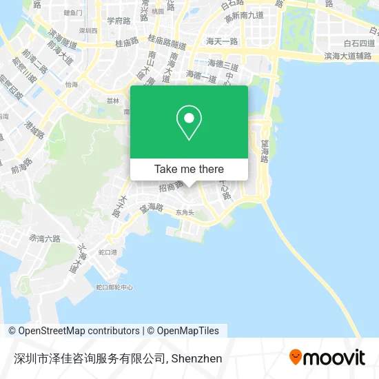 深圳市泽佳咨询服务有限公司 map