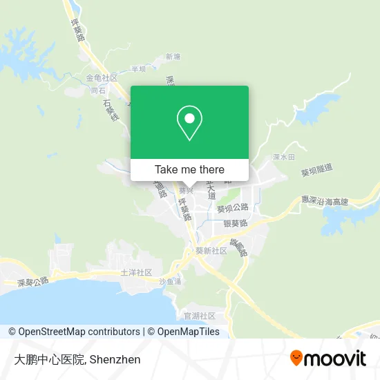 大鹏中心医院 map