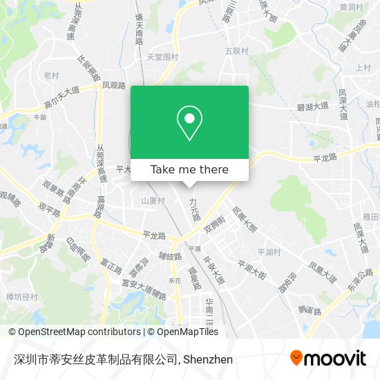 深圳市蒂安丝皮革制品有限公司 map
