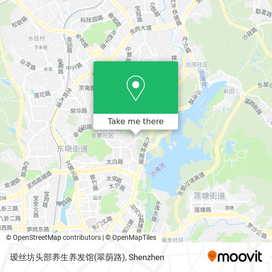 瑷丝坊头部养生养发馆(翠荫路) map