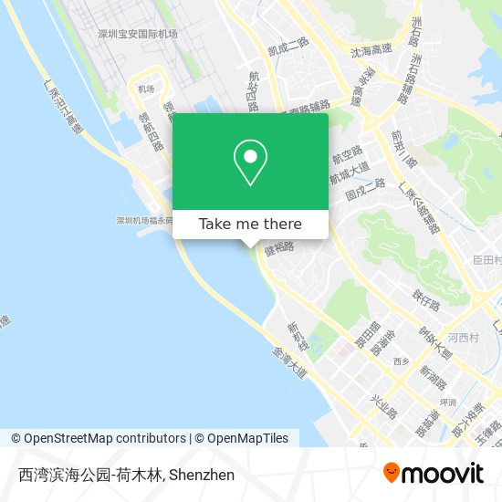 西湾滨海公园-荷木林 map