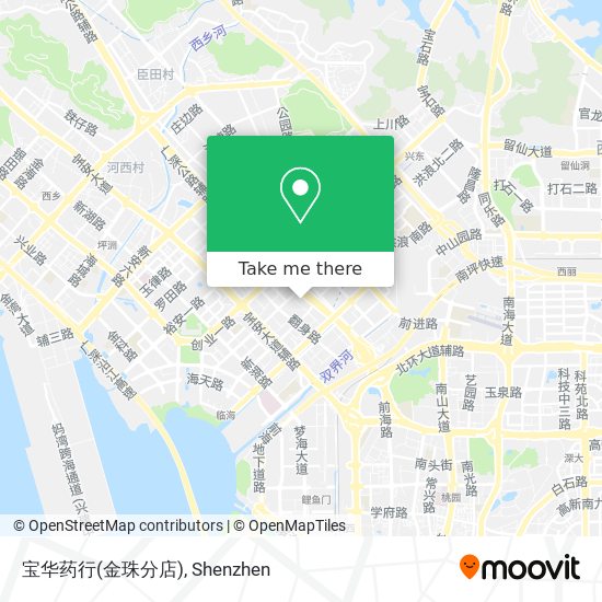 宝华药行(金珠分店) map