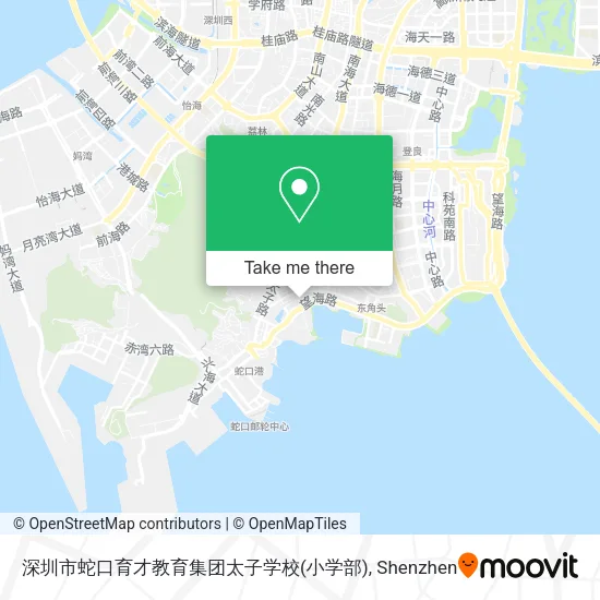 深圳市蛇口育才教育集团太子学校(小学部) map