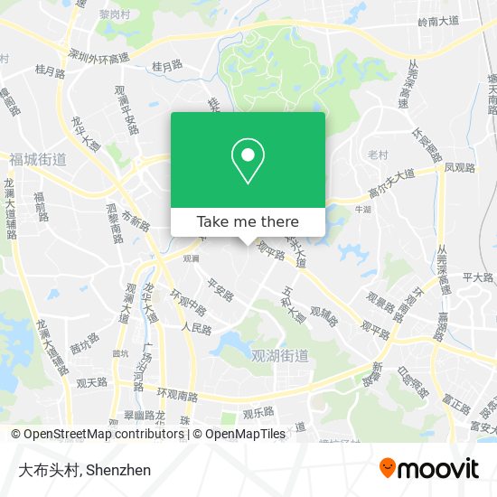 大布头村 map