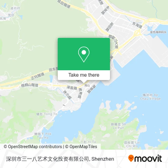 深圳市三一八艺术文化投资有限公司 map