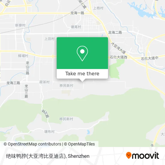 绝味鸭脖(大亚湾比亚迪店) map