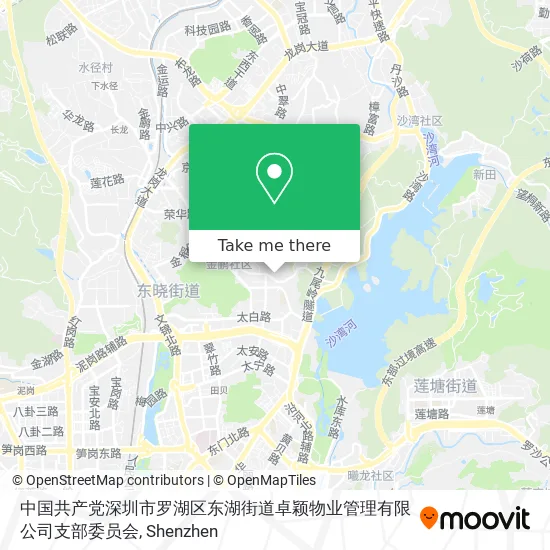 中国共产党深圳市罗湖区东湖街道卓颖物业管理有限公司支部委员会 map
